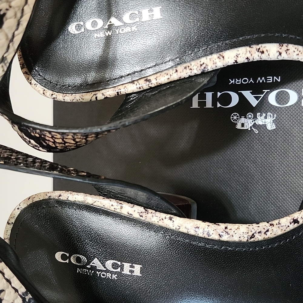 EUC (worn Once) Sz7M Coach Snakeskin Heels - Black and Tan - Picture 5 of 9